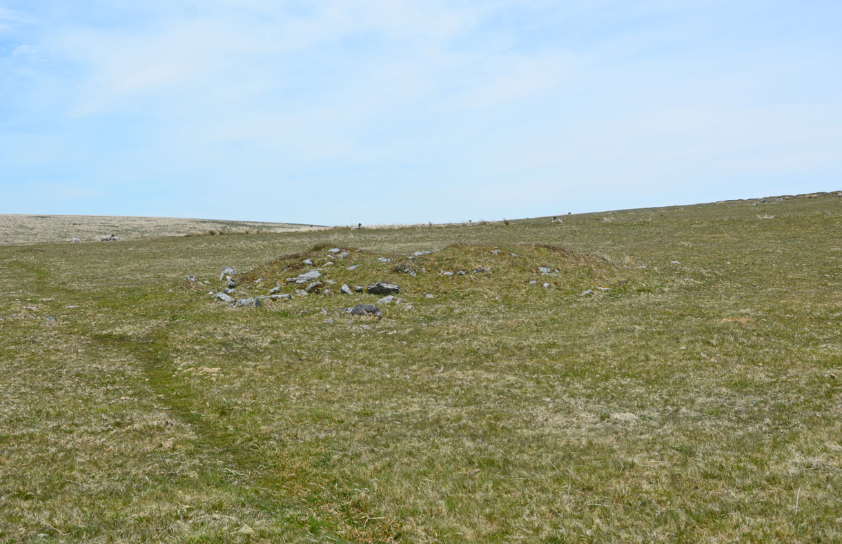 Click for full size image of Drizzlecombe cairn 4 (PID:199985) Drizzlecombe cairn 4
