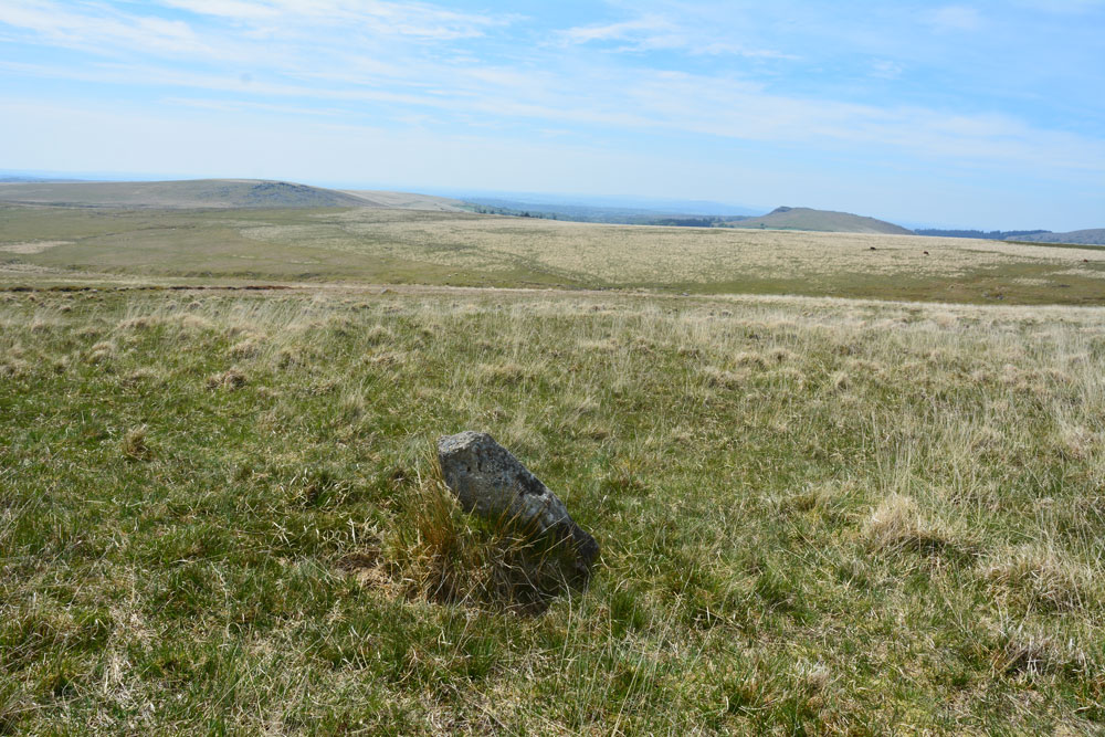 Standing Stone Near Cairn at Head of Drizzlecombe Row 4