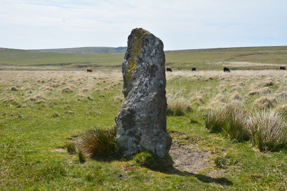 Click for full size image of Drizzlecombe menhir 3 (PID:199961) Drizzlecombe menhir 3