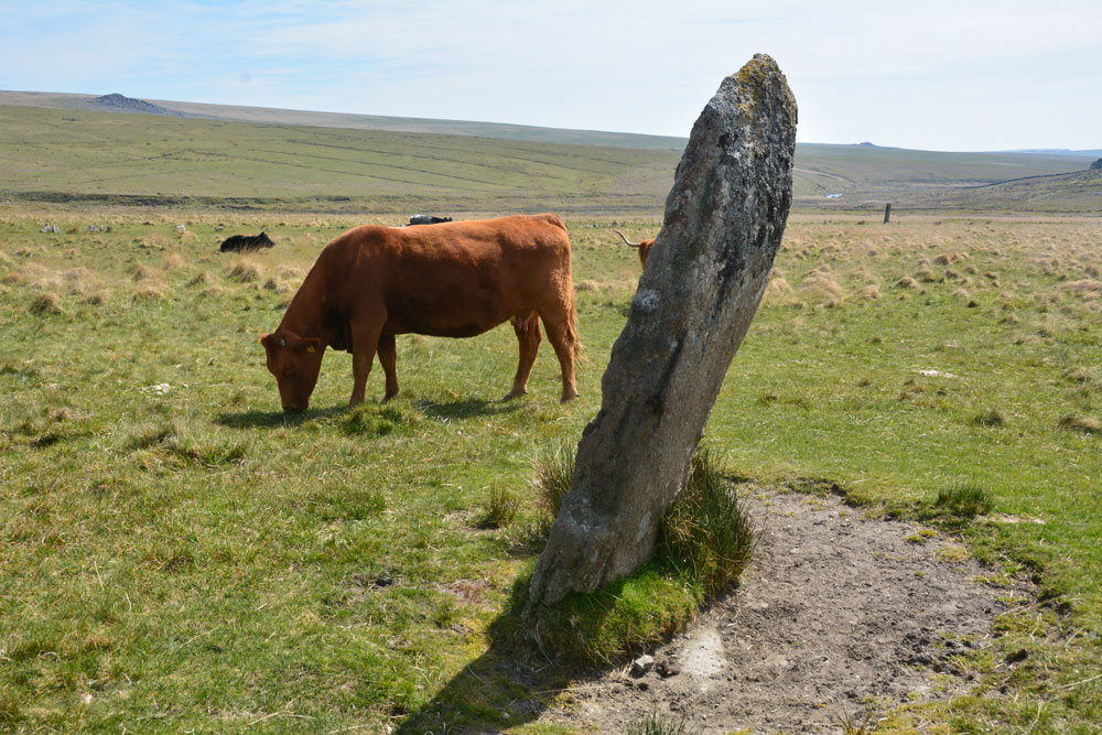 Click for full size image of Drizzlecombe menhir 3 (PID:199962) Drizzlecombe menhir 3
