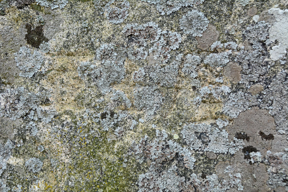 Drizzlecombe row 2