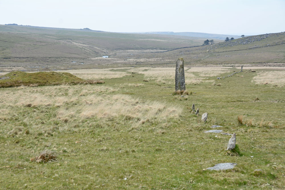 Drizzlecombe row 2