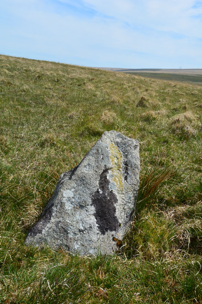 Standing Stone Near Cairn at Head of Drizzlecombe Row 4