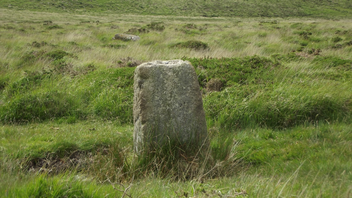 Buttern Hill Possible Menhir (PID:243730) Buttern Hill Possible Menhir