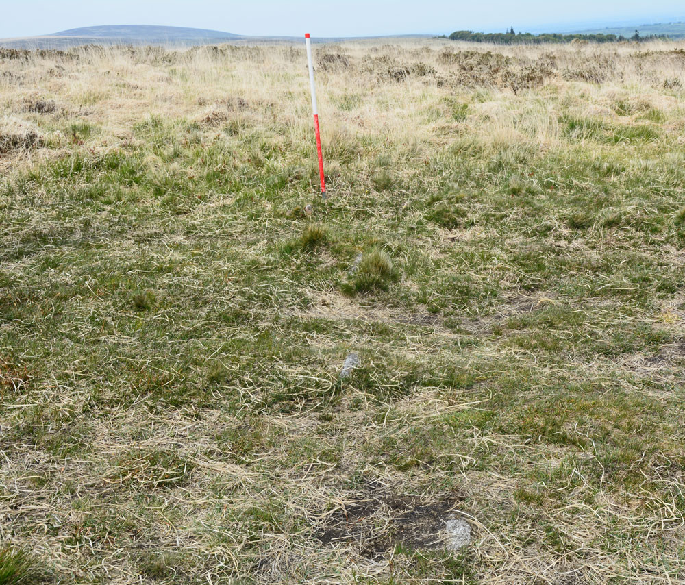 Click for full size image of Shovel Down row 1 (PID:200758) Shovel Down row 1