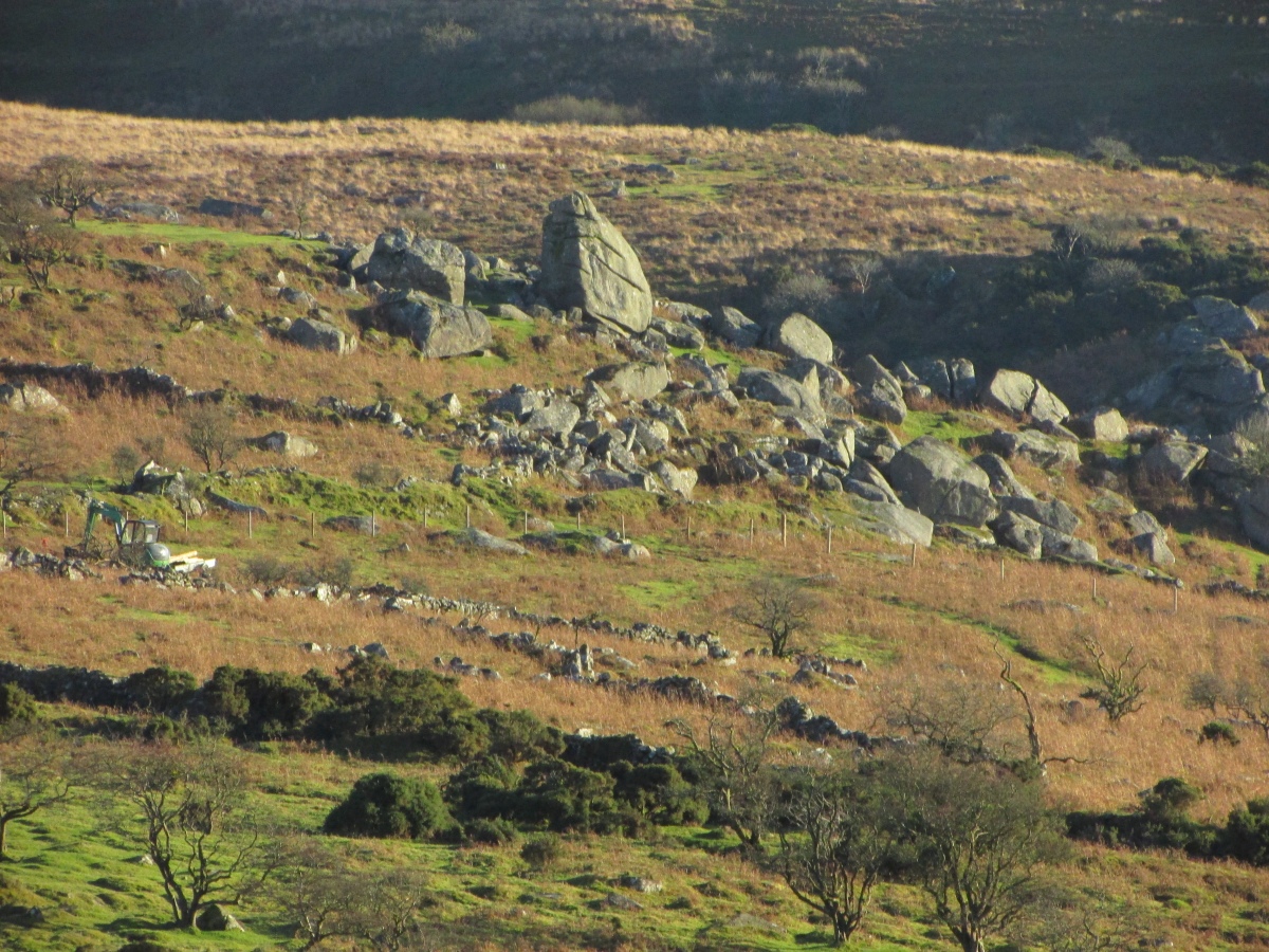 Cuckoo Rock (Dartmoor), Devon | Megalithic Portal