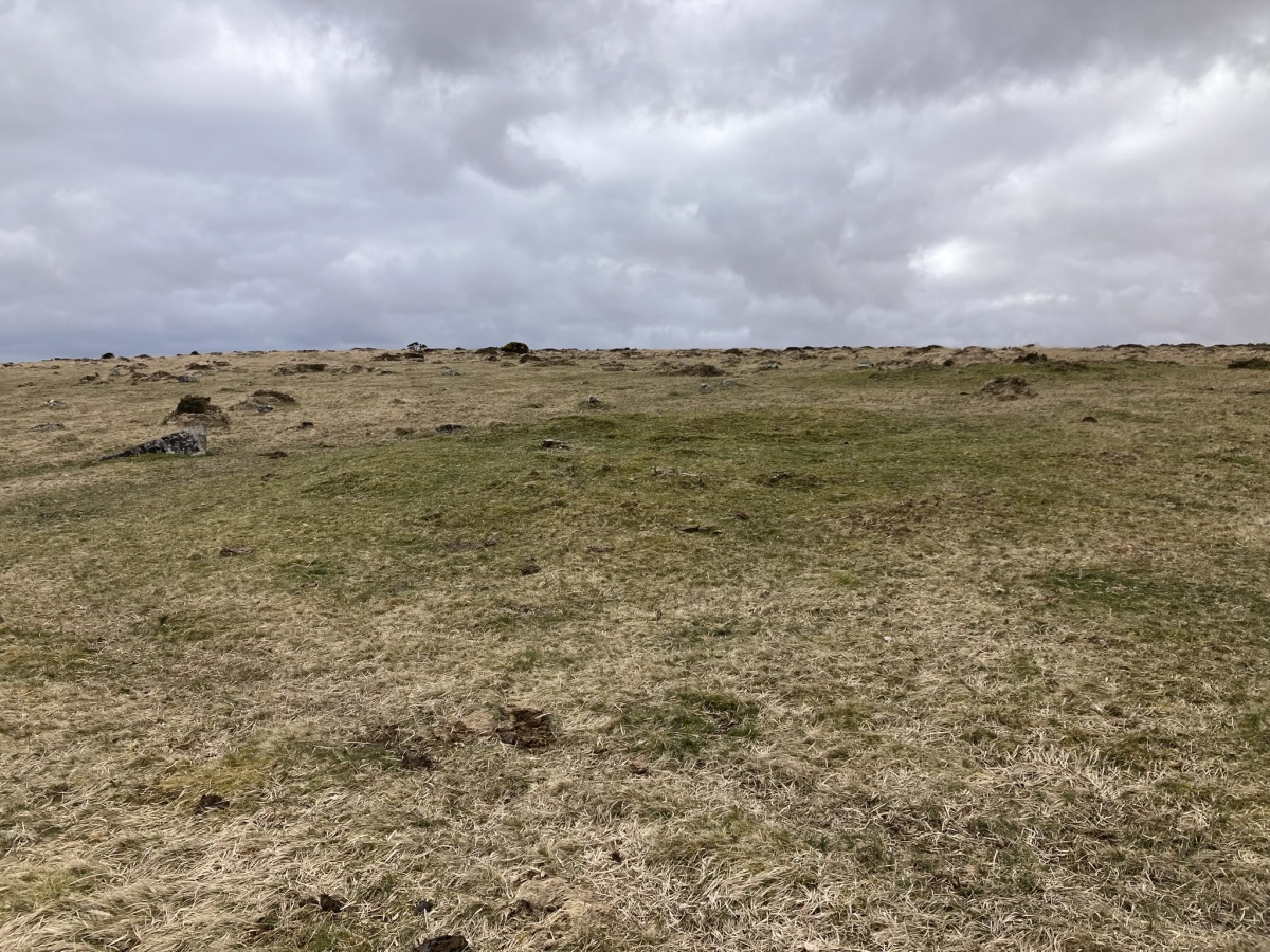Click for the gallery page to add comments and vote (PID:303927) Gidleigh Common Cairns