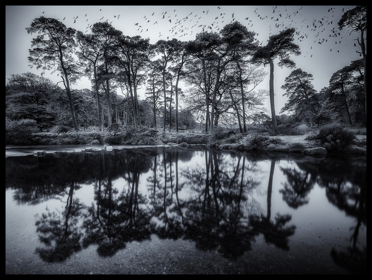 Click for the gallery page to add comments and vote (PID:234529) Sherberton stepping stones