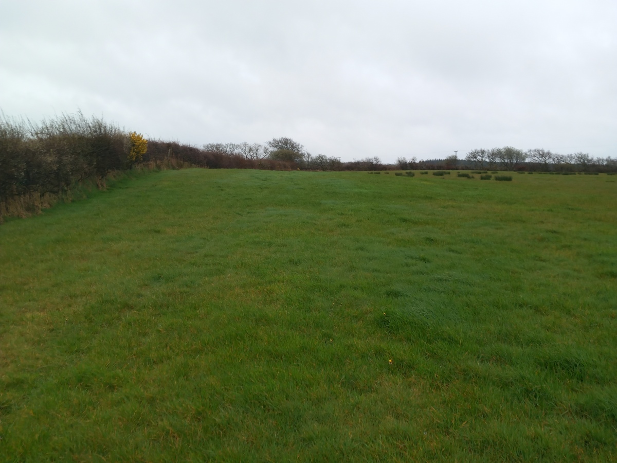 Three Barrows, Patchacott