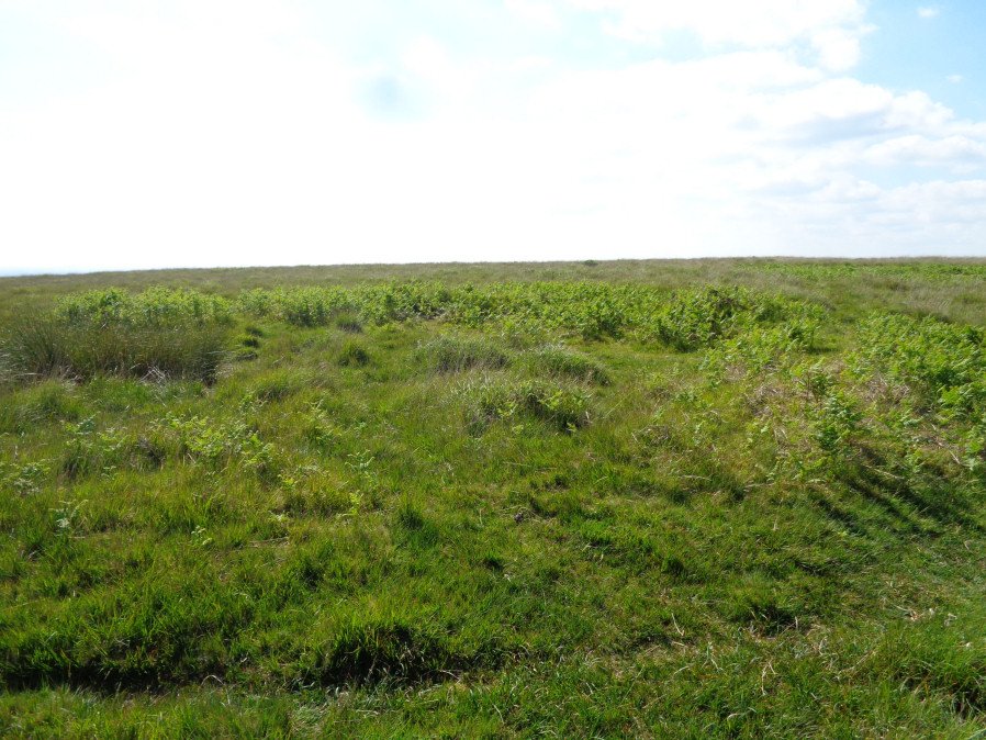 Click for the gallery page to add comments and vote (PID:205988) Wigford Down 4
