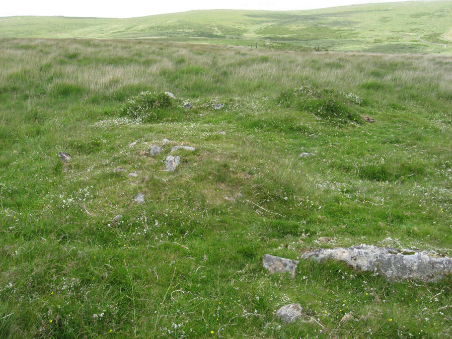 Chittaford Down cairn circle and cist (PID:158339) Chittaford Down cairn circle and cist