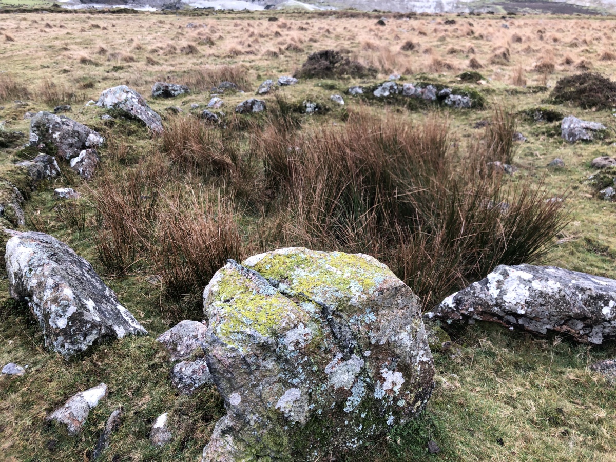Click for full size image of Trowlesworthy Tor settlement (PID:237005) Trowlesworthy Tor settlement