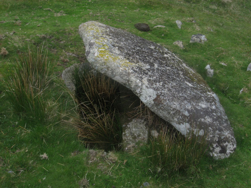 Calveslake