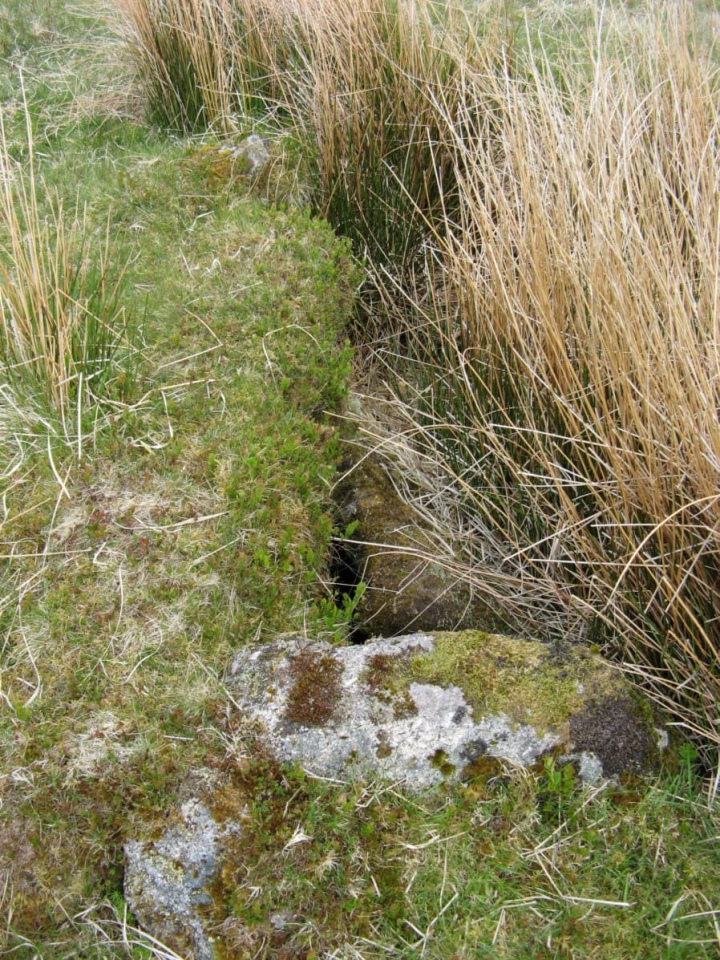 Fox Tor Newtake South (PID:203939) Fox Tor Newtake South