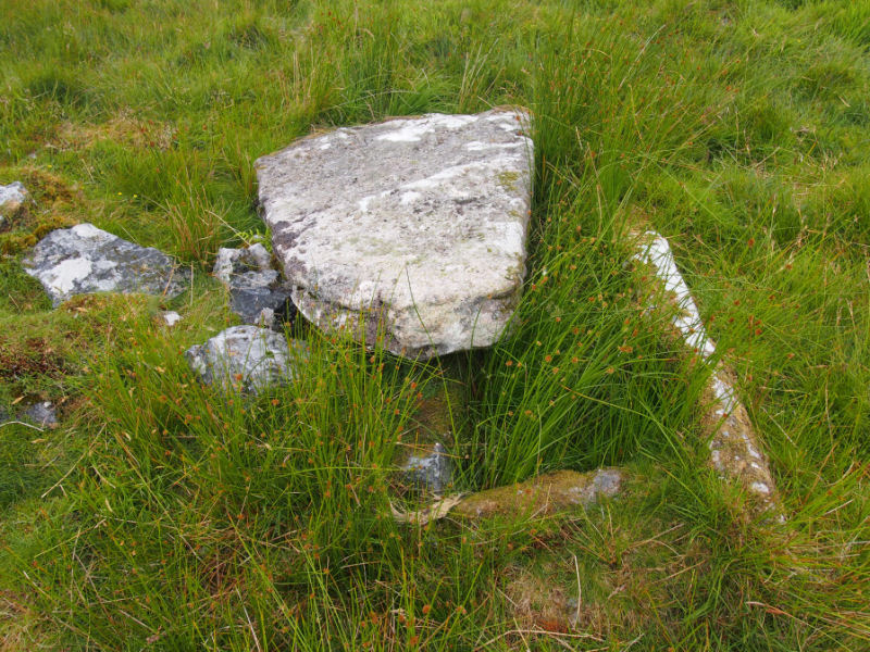 The Langcombe South cist, submitted on behalf of Prehistoric Dartmoor Walks.