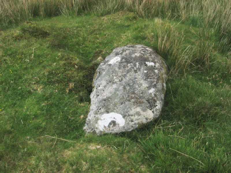 Deadman's Bottom F (PID:162327) Deadman's Bottom F