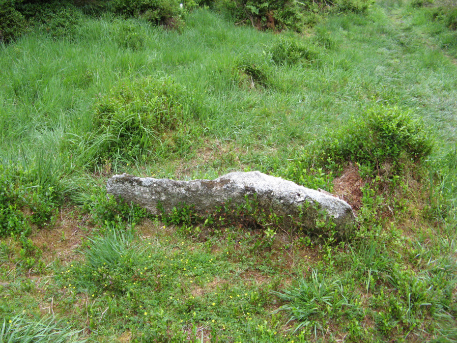 The Lakehead Newtake Cist from Prehistoric Dartmoor Walks. Photograph taken 22nd July 2019. 