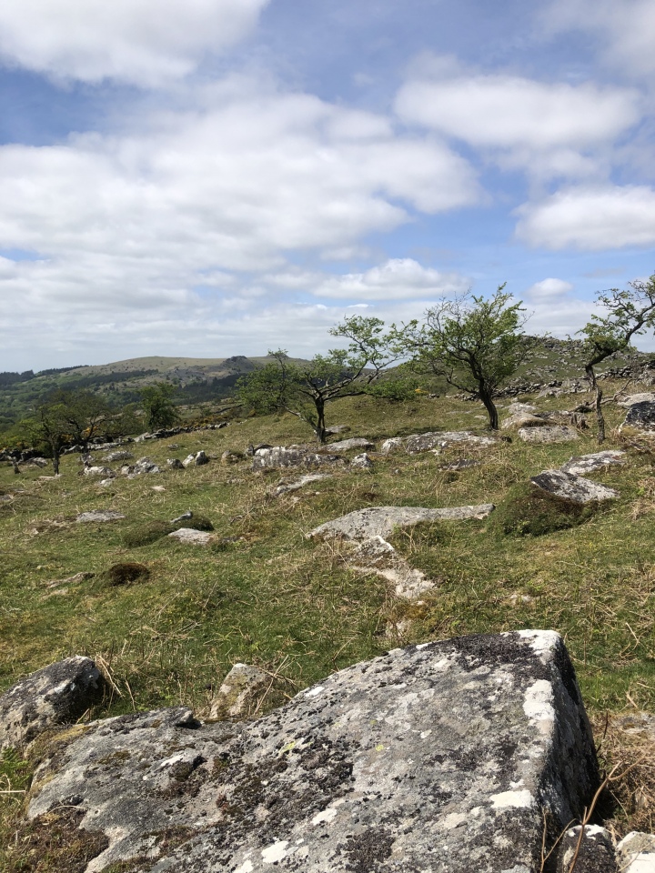 Click for the gallery page to add comments and vote (PID:241489) Down Tor Circular Settlement