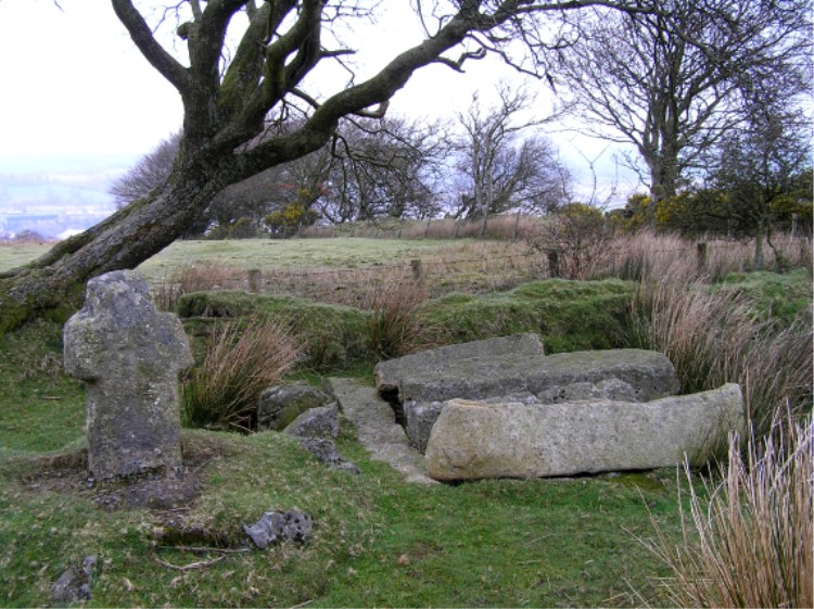 Fitz's Well