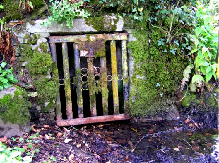 St Peter's Well (Bradworthy)
