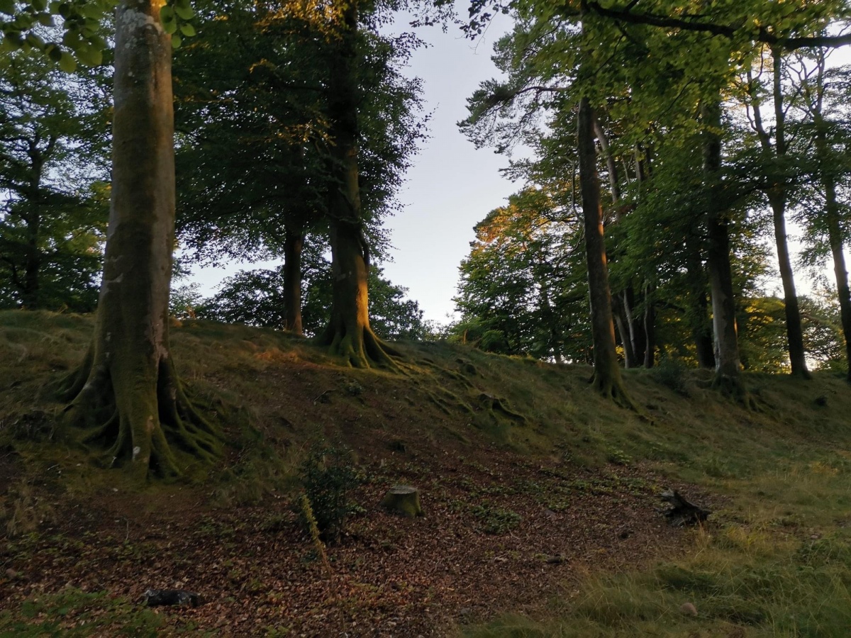 Click for the gallery page to add comments and vote (PID:230984) Woodbury Castle