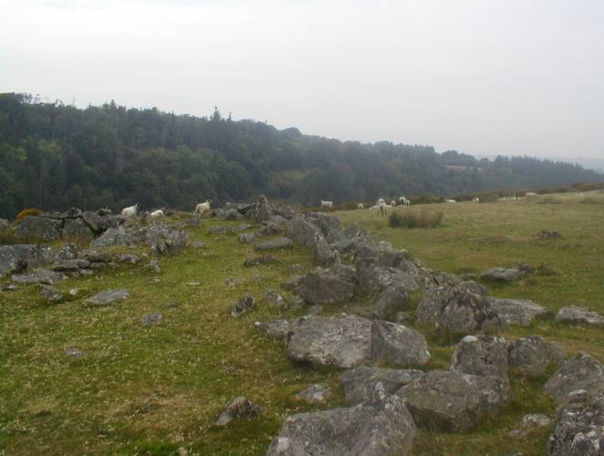 Wall surrounding hut circle, Kestor. SX663868 Devon
