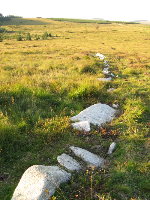 Click for the gallery page to add comments and vote (PID:52221) Bellever Tor N Settlement