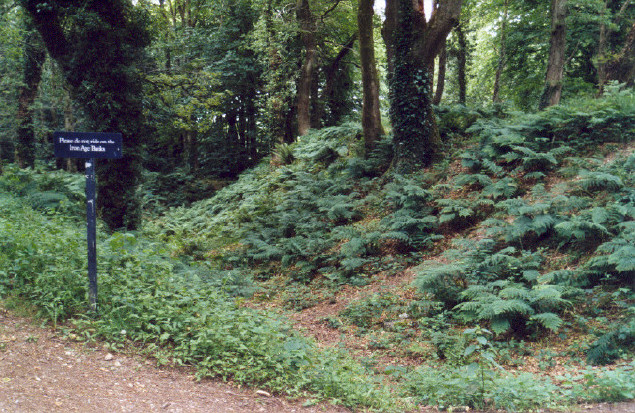 The external ditch and bank to the left of the eastern entrance to Blackbury Camp.  The notice says: 