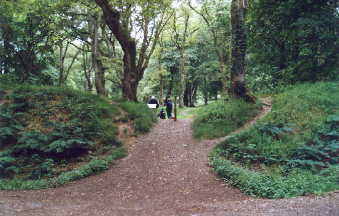Blackbury Camp: the first view from the eastern entrance next to the car park.  Not original apparently.