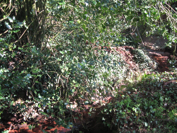 Click for full size image of Puddock's Well (PID:131968) Puddock's Well