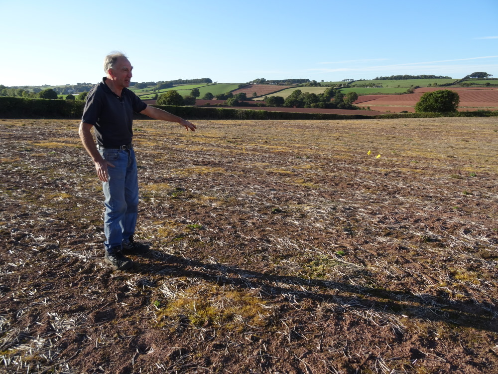 A friendly local farmer (not the owner) 'R.M.', indicating where he believed the henge to be (slightly lower on the slope than we'd dowsed, once again).  Sept 2018.
I (and 'we' when Alan has helped) have put many years of research into finding a possible Celtic Sanctuary in the vicinity.  Alan has been invaluable in the most recent visits, but we've only dowsed once a year, until illness and Covi