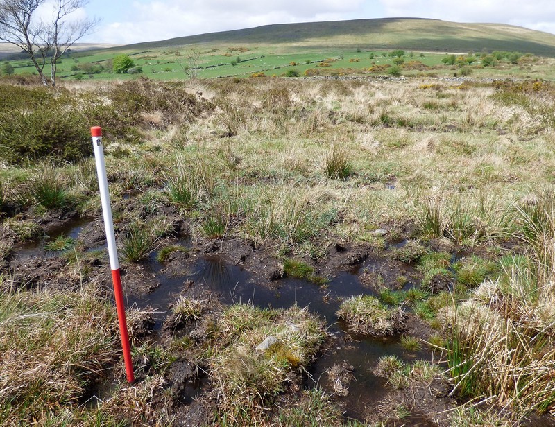 A pair of tiny stones at SX 63707 60448. View from south (Scale 1m).