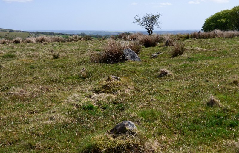 Click for the gallery page to add comments and vote (PID:191062) Burford Down Stone Row