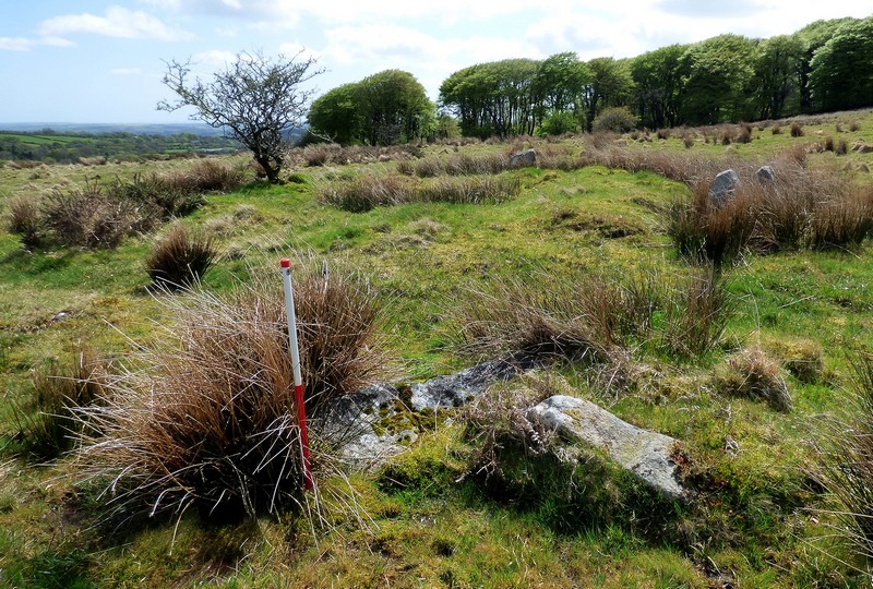 Two large recumbent orthostats denote the southern end of the row. The largest measures 1.5m long by 0.55m wide and protrudes 0.2m above the ground surface. The largest stones in a row are often found at the upper end. View from north east (Scale 1m).