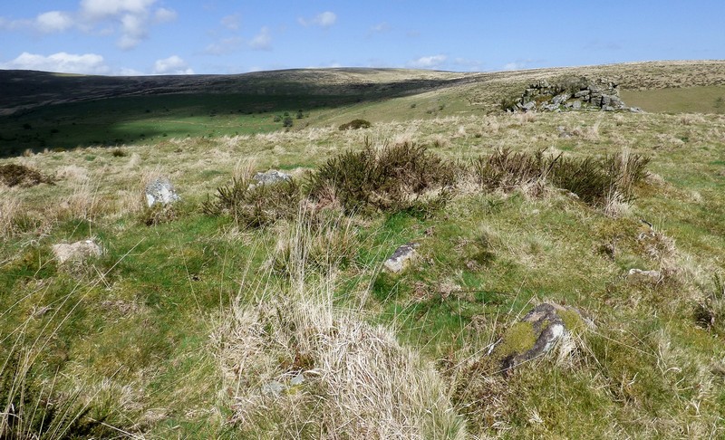 Burford Down (Tristis Rock)