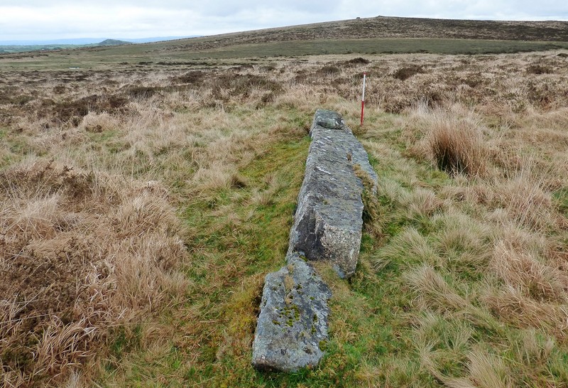 Butterdon East