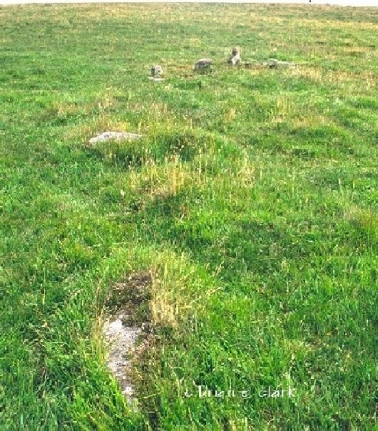 Buttern Hill circle @ SX6495,8845. Near Ensworthy & Moortown.
Associated with many hut circles and cairns on the E&W sides and top of the hill. 
