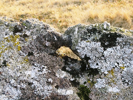 A close-up of the hole in Slab 1.  Jack Walker described it as 'circular', though it wasn't on the day I photographed it.
(See site page for more details)
