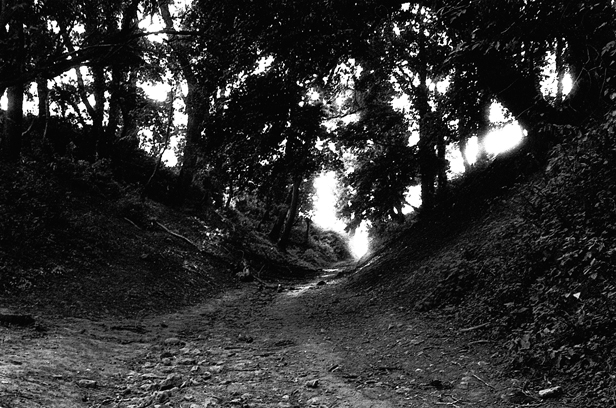 Site in Devon: Castle approach.
