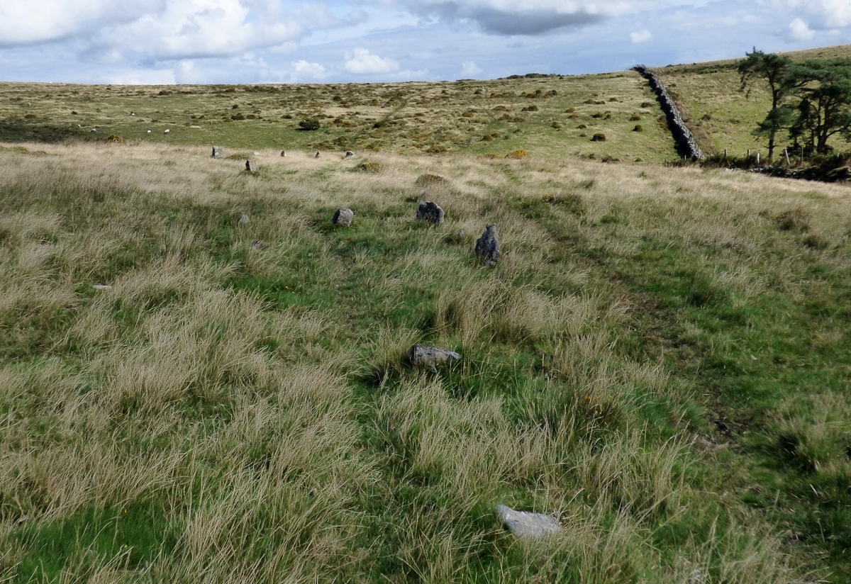 Corringdon Ball South, Devon | Megalithic Portal