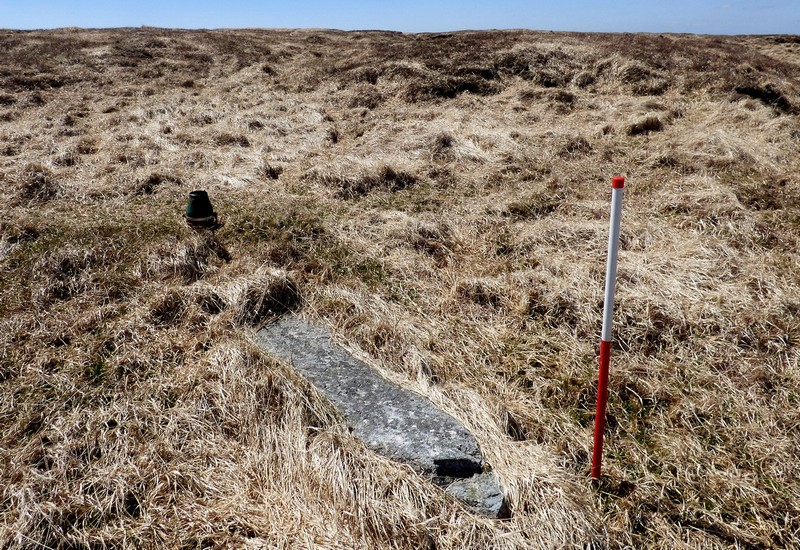 Cut Hill Stone Row