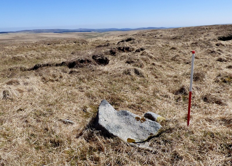 Cut Hill Stone Row