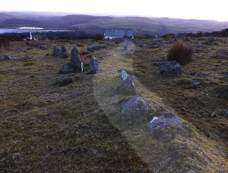 Click for the gallery page to add comments and vote (PID:124786) Collard Tor E
