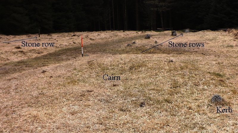 Fernworthy Cairn SW