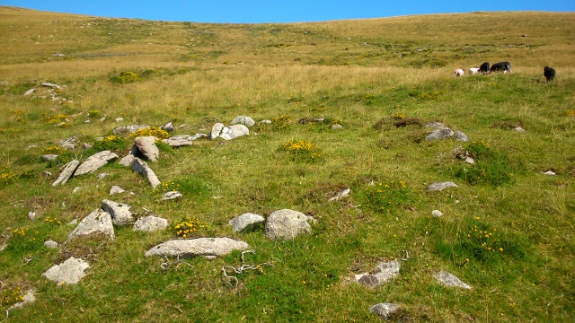 Enclosure and ruins of White hill.