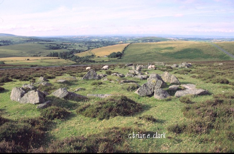 Superb set of Hut Circles, Rows & Cysts. Near Lettaford