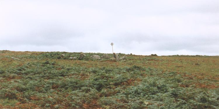 Click for the gallery page to add comments and vote (PID:3534) Shaugh Moor settlement