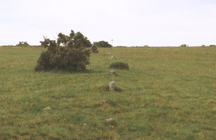 Click for the gallery page to add comments and vote (PID:3535) Shaugh Moor row
