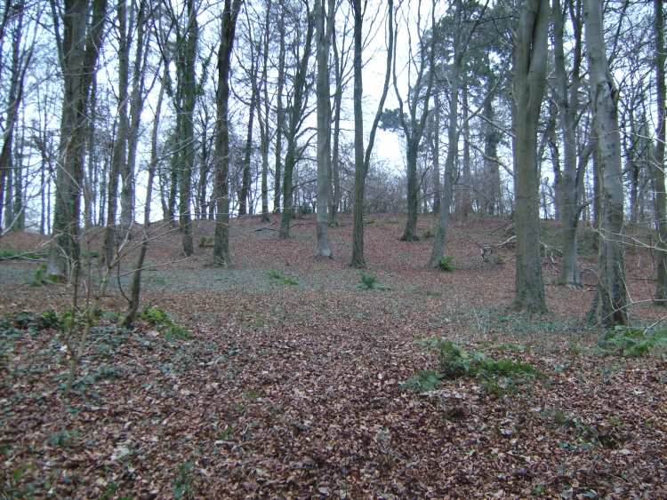 Dolbury Hillfort is on around the top of a volcanic hill overlooking Killerton House (NT). It is covered in trees (and mud) in the winter.