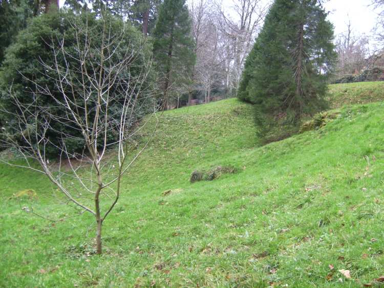 A picture of one of the small quarries on the hillfort. Most of the embankments and ditches have worn away or been quarried.